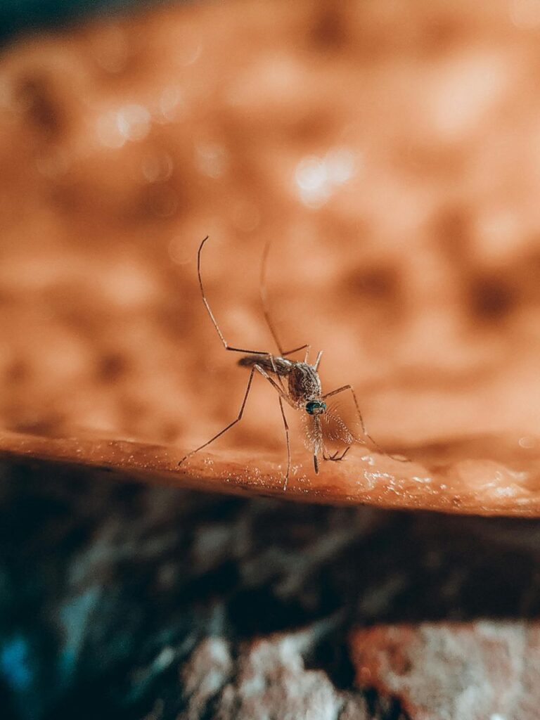 मच्छरों से बचने के वैज्ञानिक तरीके (Scientific ways to avoid mosquitoes)